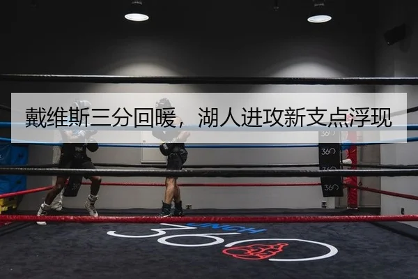 戴维斯三分回暖，湖人进攻新支点浮现